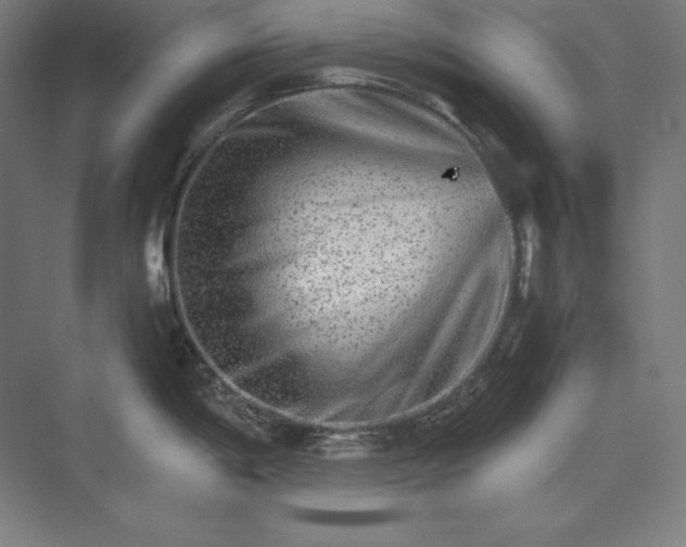 X0000074001198200609061015