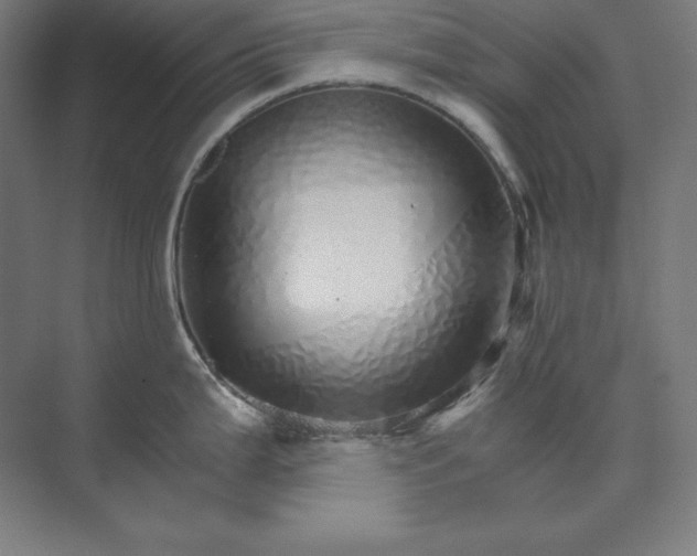 X0000074001199200609061015