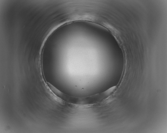 X0000074001200200609061015