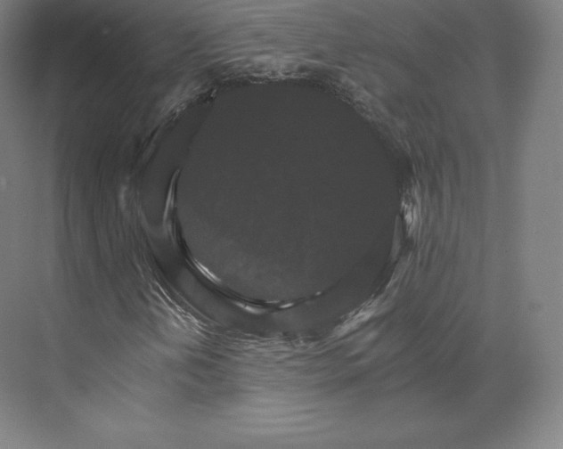 X0000074001202200609061014