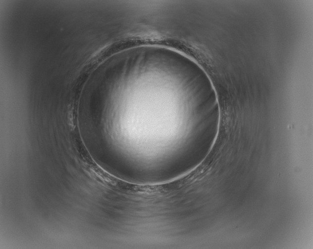 X0000074001205200609061015