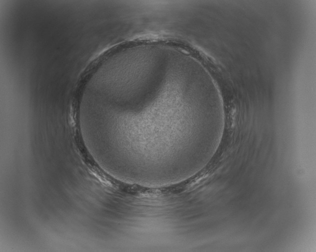 X0000074001206200609061015