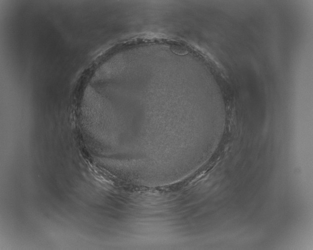 X0000074001207200609061015