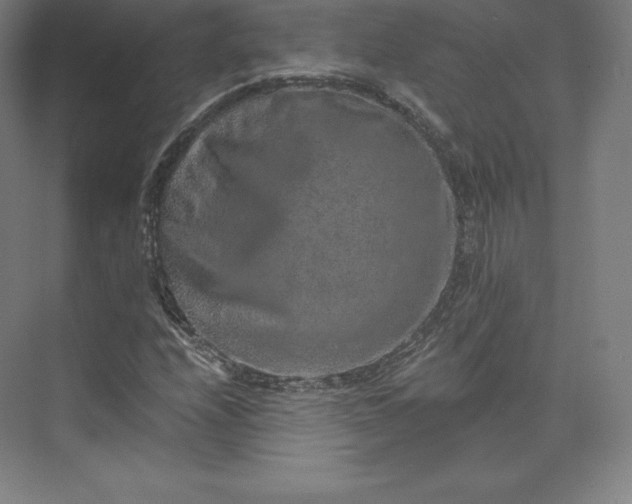 X0000074001208200609061015