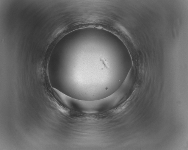 X0000074001210200609061015