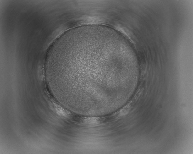 X0000074001211200609061015