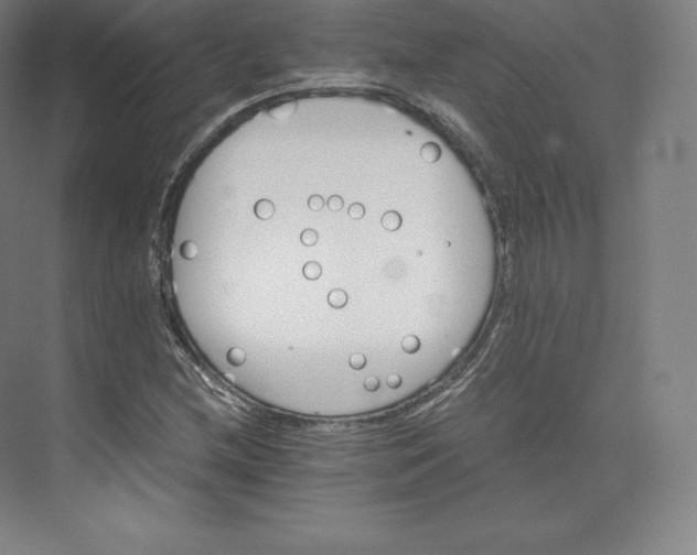 X0000074001212200609061015