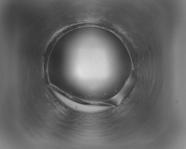 X0000074001214200609061015