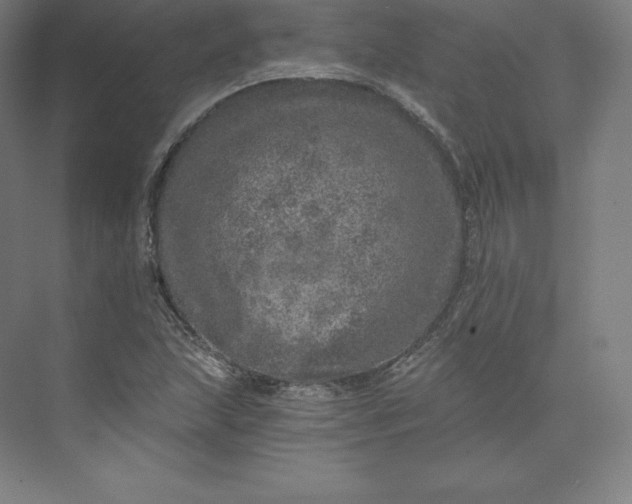 X0000074001215200609061015