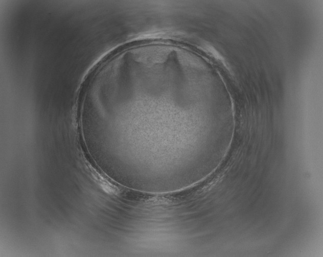 X0000074001216200609061015