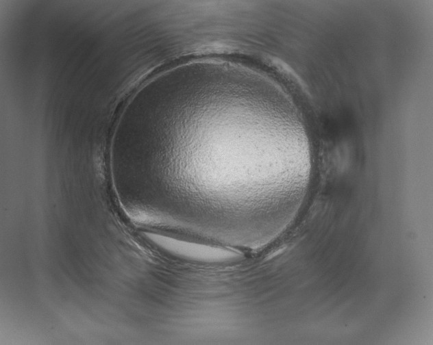 X0000074001217200609061015