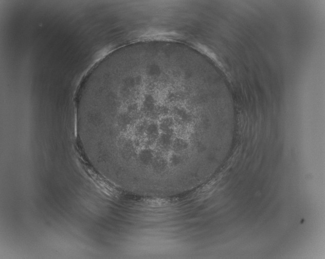 X0000074001219200609061015