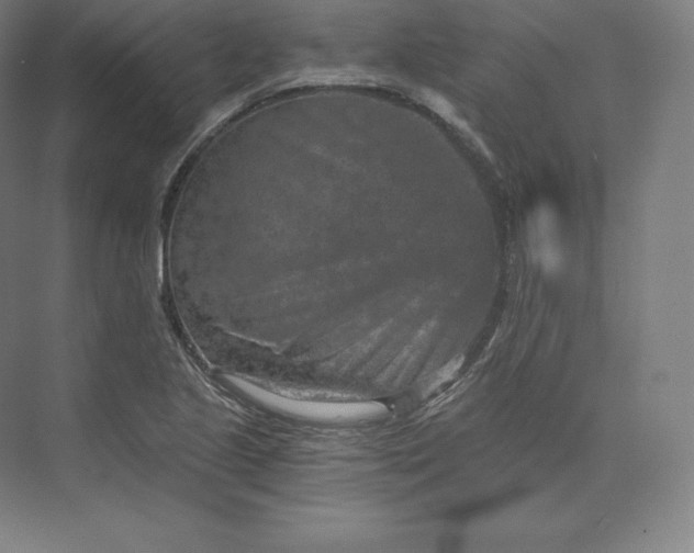 X0000074001221200609061015