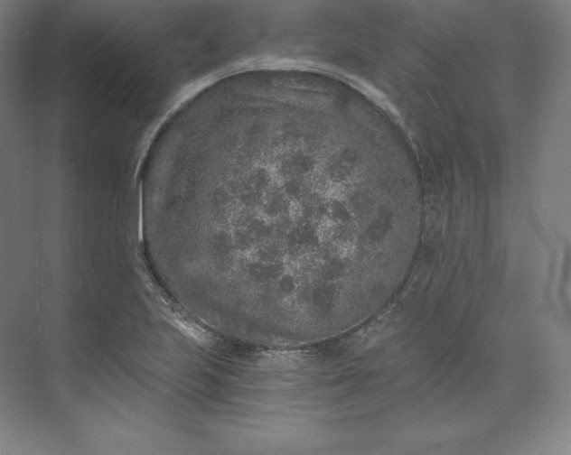 X0000074001223200609061015