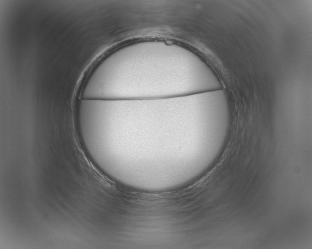 X0000074001224200609061015