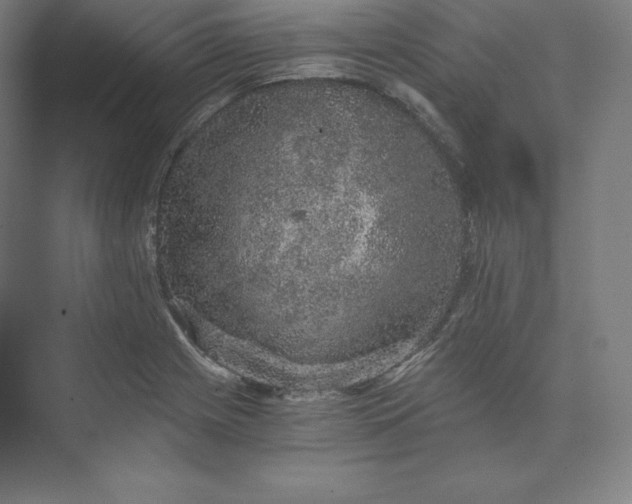 X0000074001225200609061015