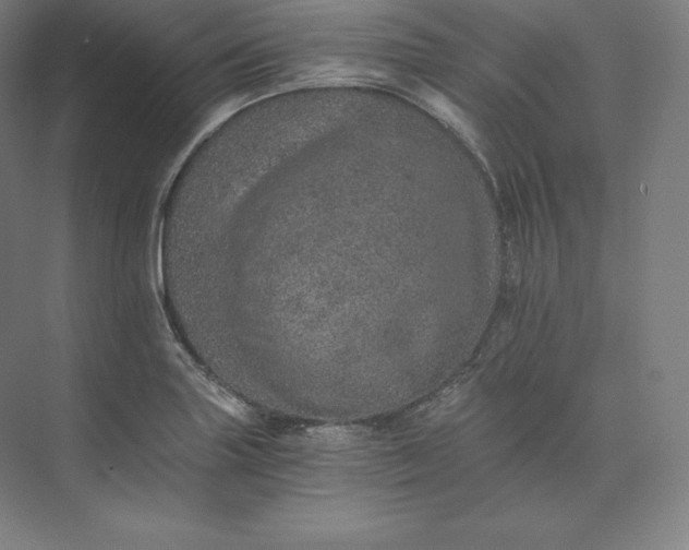 X0000074001227200609061015