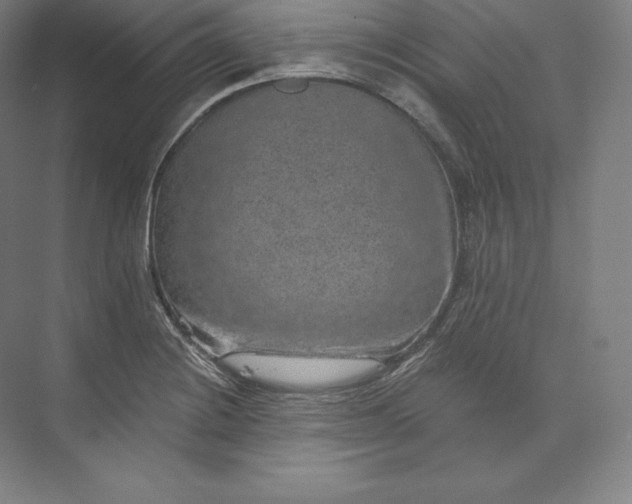 X0000074001228200609061015