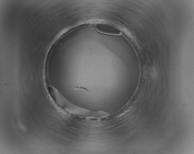 X0000074001229200609061015