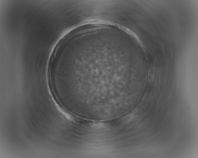 X0000074001231200609061015