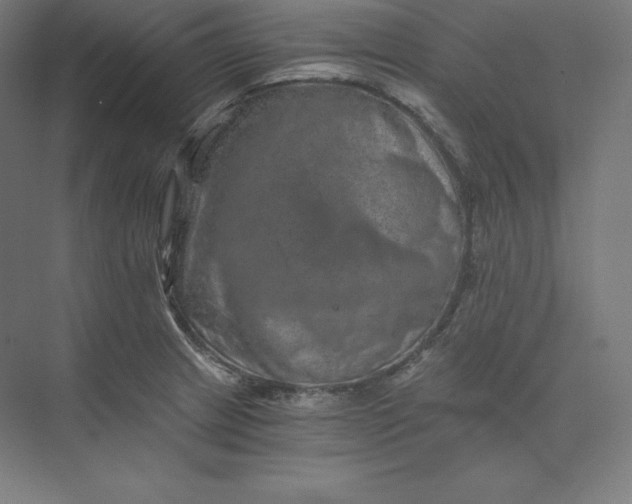 X0000074001233200609061015