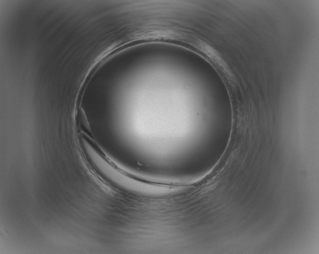 X0000074001234200609061015