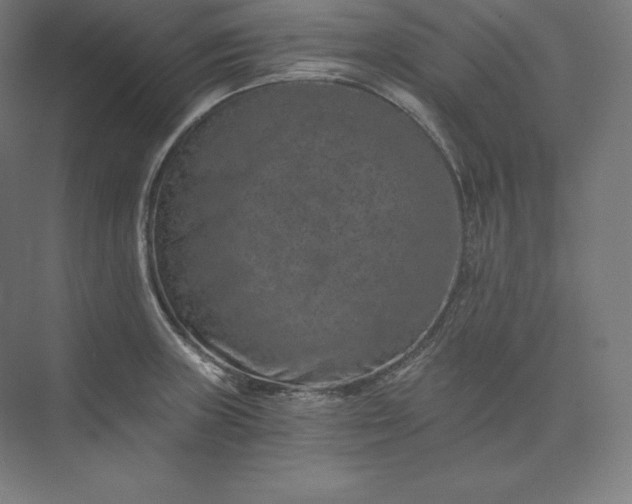 X0000074001235200609061015