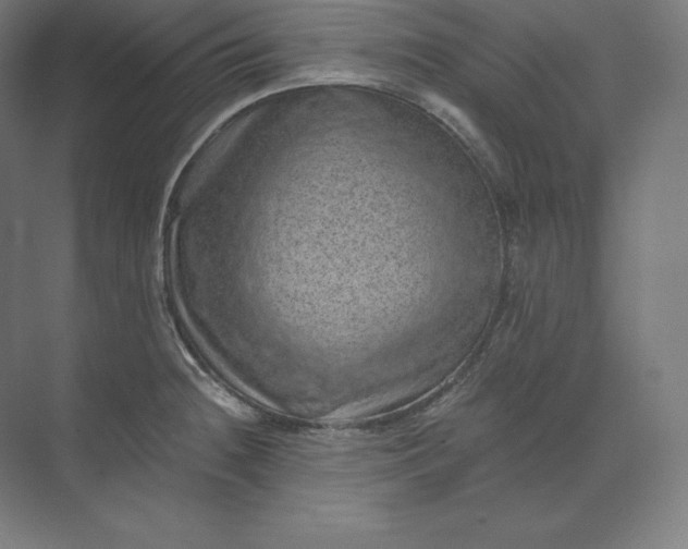 X0000074001236200609061015