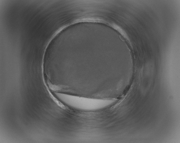 X0000074001237200609061015