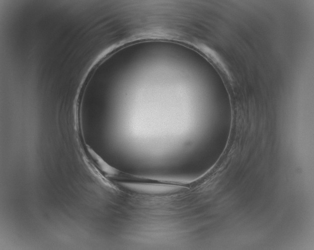 X0000074001238200609061015