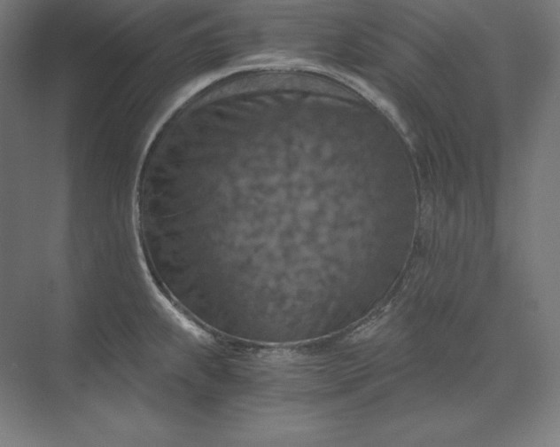 X0000074001239200609061015