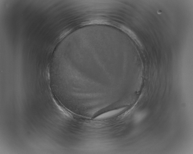 X0000074001241200609061015