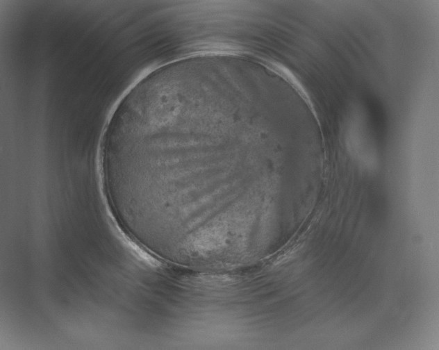 X0000074001243200609061015