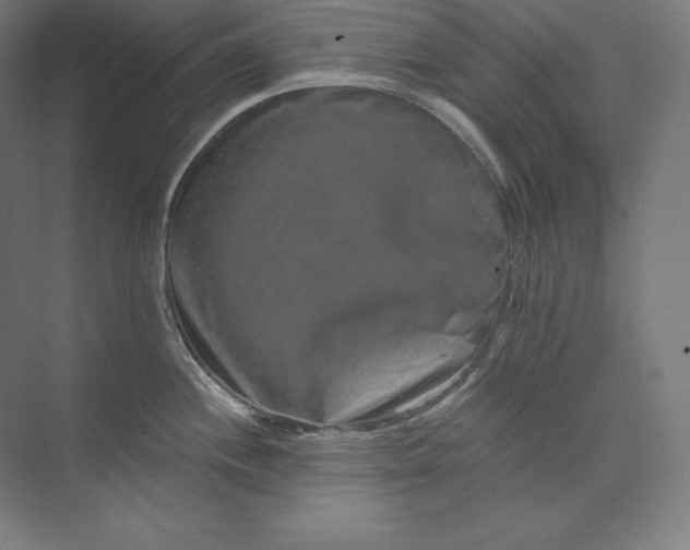 X0000074001244200609061015