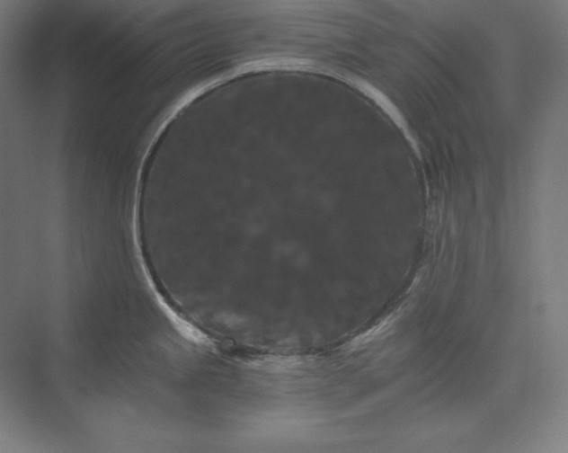 X0000074001245200609061015