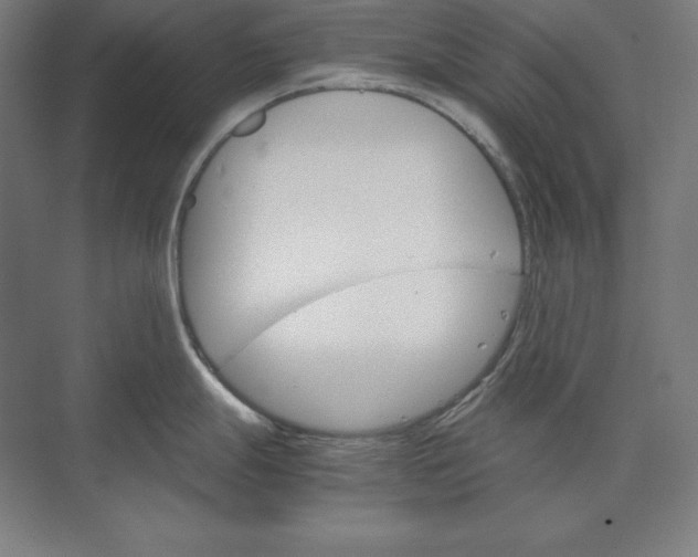 X0000074001247200609061015