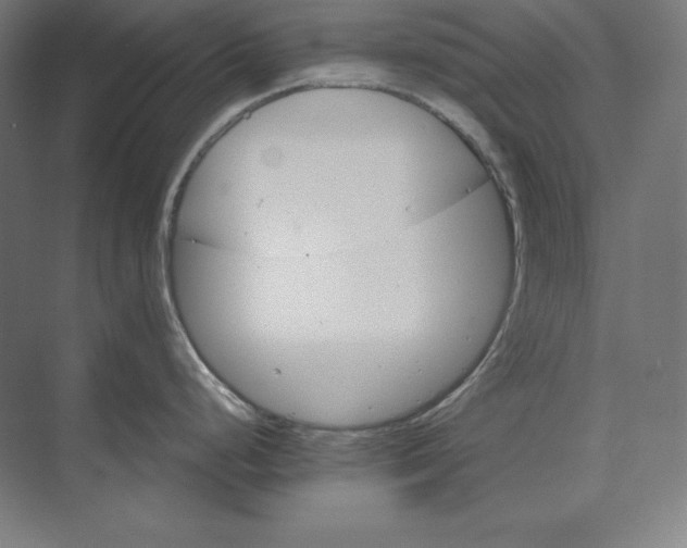 X0000074001248200609061015