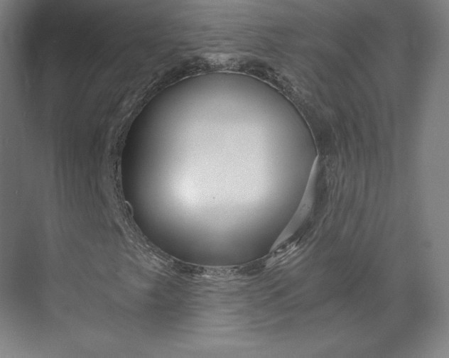 X0000074001249200609061014