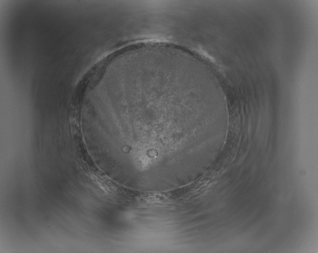 X0000074001255200609061014