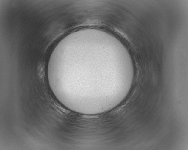 X0000074001258200609061014