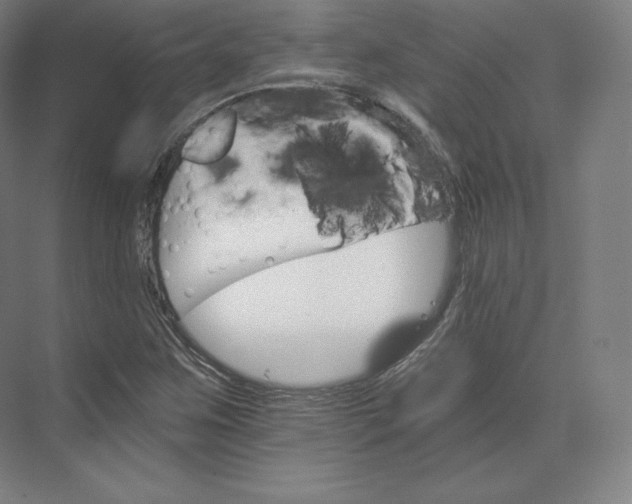 X0000074001259200609061014