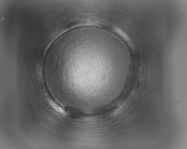 X0000074001260200609061014