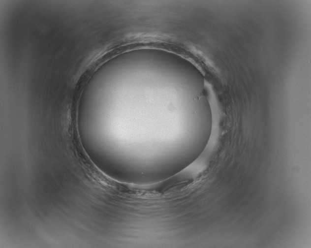 X0000074001261200609061014