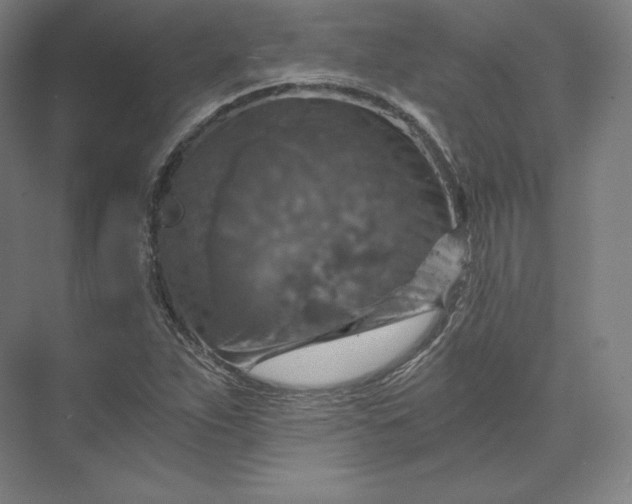 X0000074001263200609061014