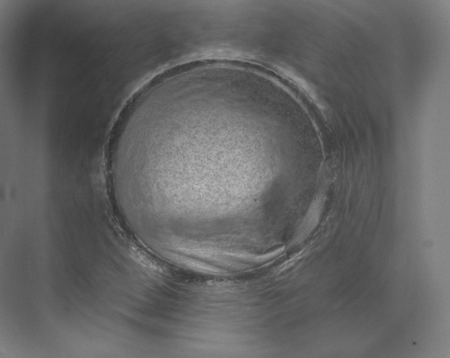 X0000074001264200609061014