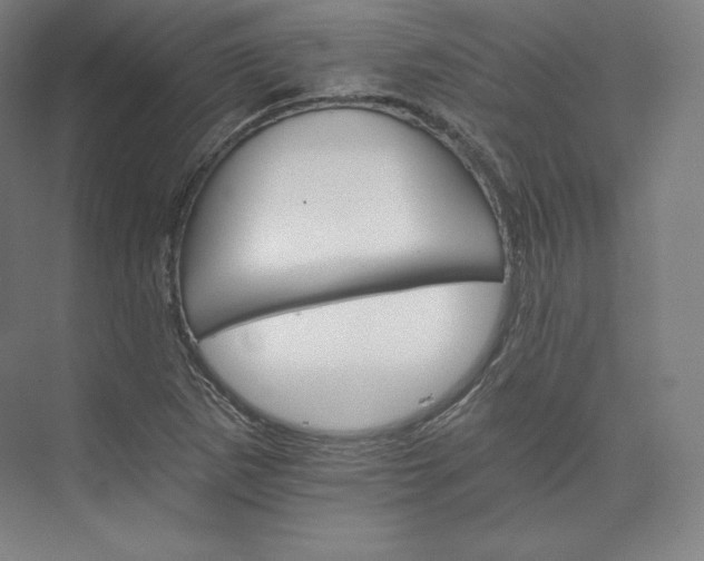 X0000074001265200609061014