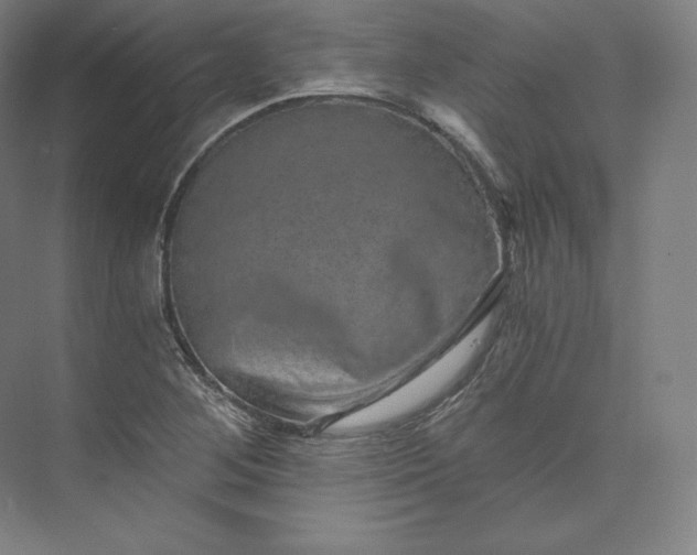 X0000074001268200609061014