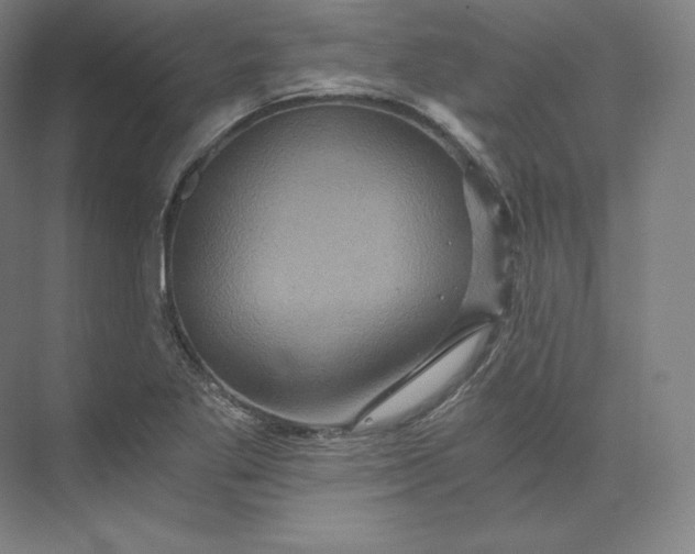 X0000074001269200609061014