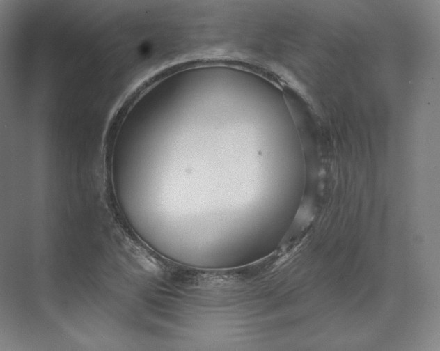 X0000074001270200609061014