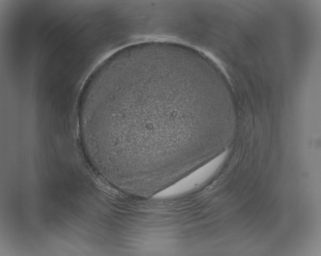 X0000074001271200609061014